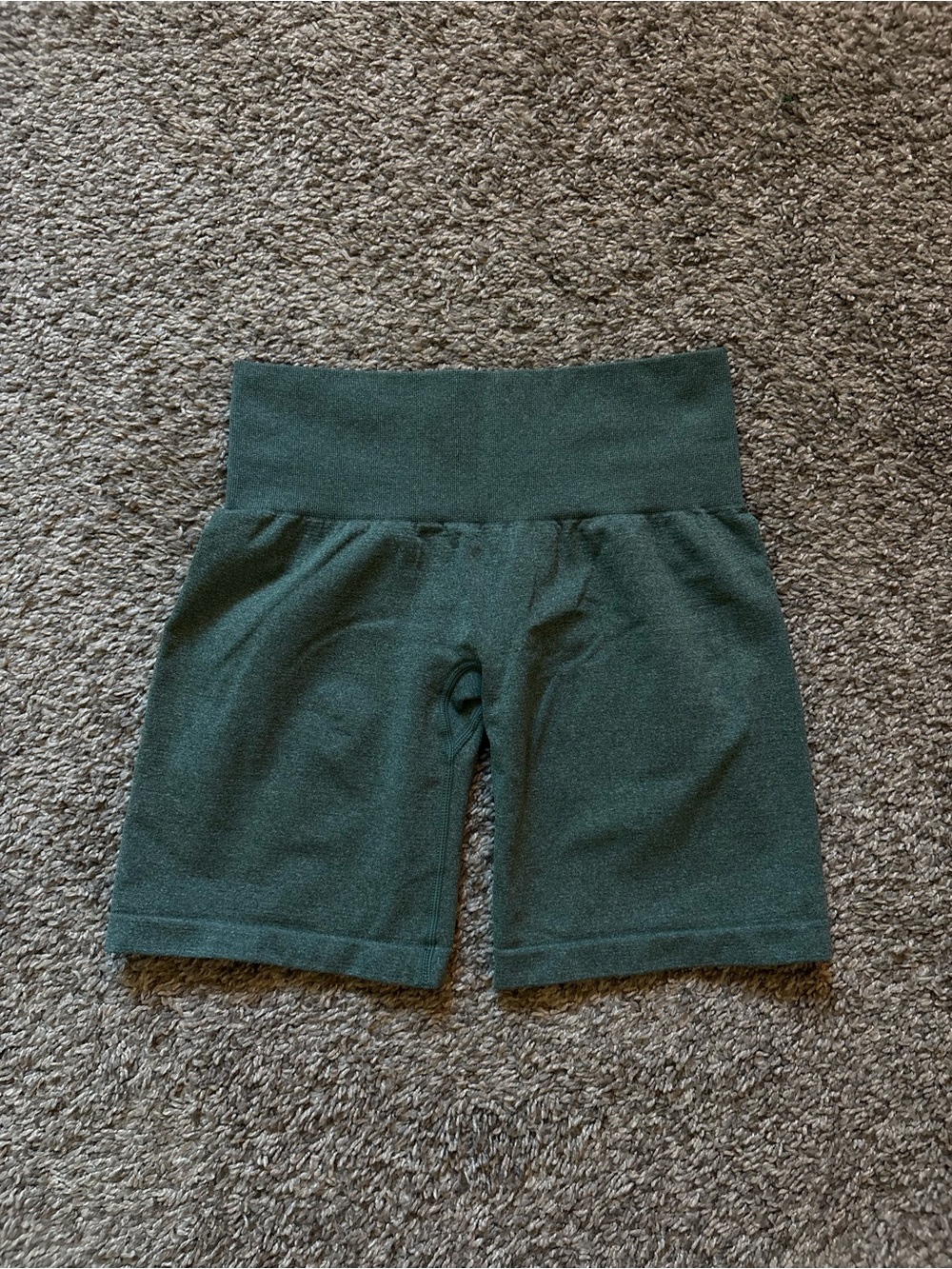 NVGTN shorts